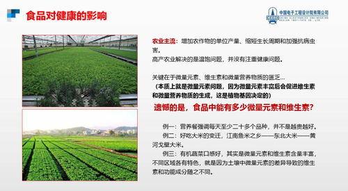 跨越隱形饑餓，點亮健康未來 硒鍶硅鋅營養健康食品項目與生態旅游開發協同發展計劃